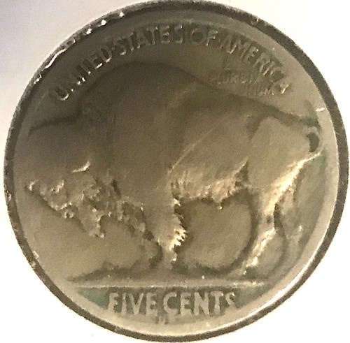 1917 testa di bufalo - 🦣,